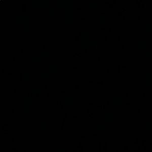 Meet your Posher, Zebie